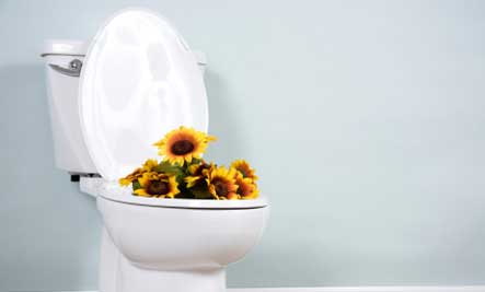 Toilet with flowers